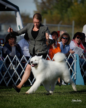 BREED_DG1-2550_20