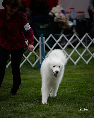 VS_D8-10-0578_40