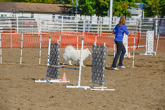 AGILITY-2142