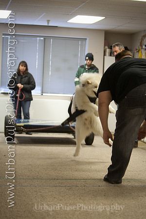 Ares-0368