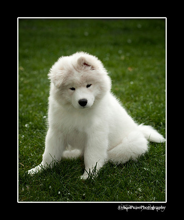 GreenBoy_10wks_web_0565