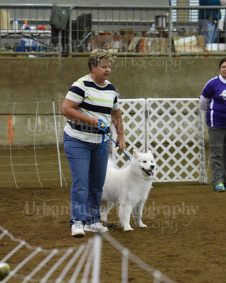SCA2016_AG MON FAST NOVICE-0065