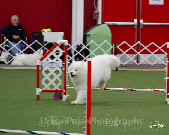 AGILITY_9481