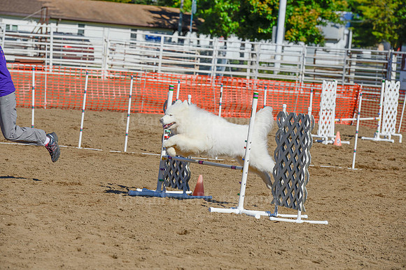 AGILITY-2195