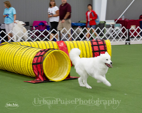 AGILITY_9464
