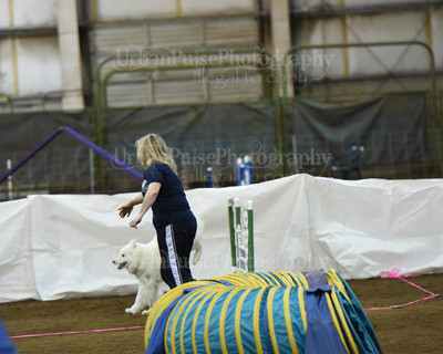 SCA2016_AG MON FAST NOVICE-0087