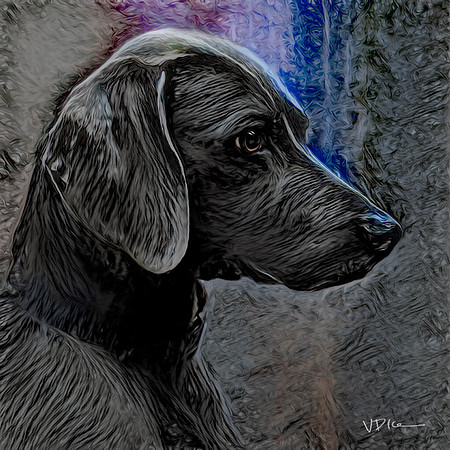 JASPER ART 0027