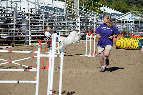 AGILITY-1915