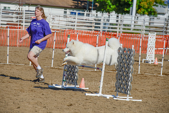 AGILITY-2088