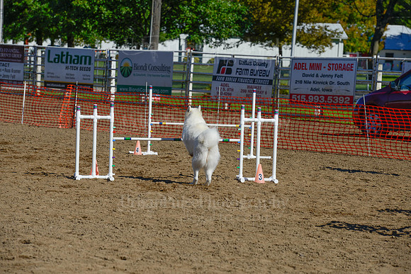 AGILITY-2073