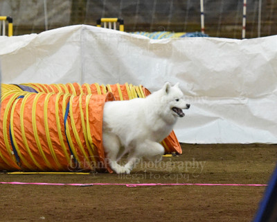 SCA2016_AG MON FAST NOVICE-0080
