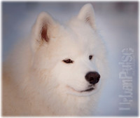 MaunaKea_5096