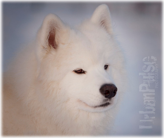 MaunaKea_5096