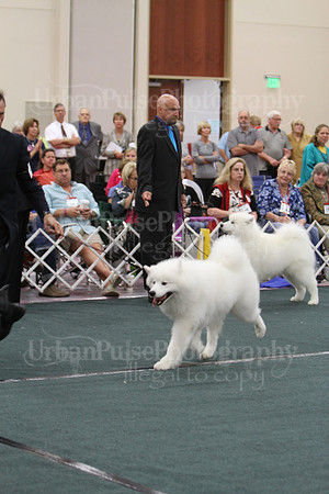 D BOB GR4-4067 2014 SCA National