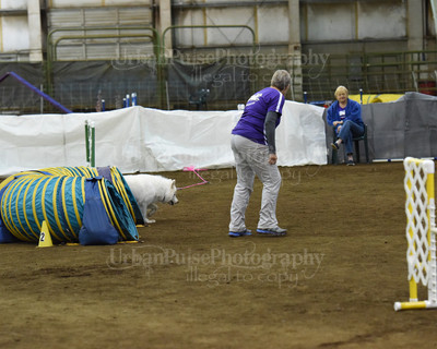 SCA2016_AG MON FAST NOVICE-0096