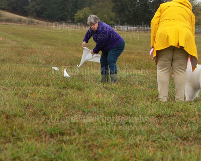 SCA2016_LURE COURSING-7735