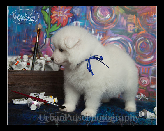 MaterxMaya5.5wks-8708