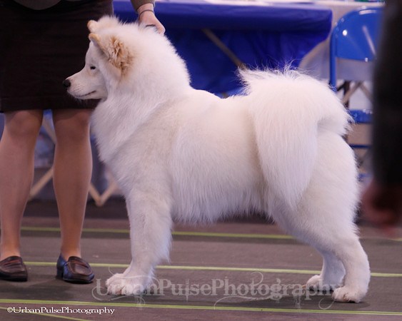 DoubleExposure_ARES_SCA_Specialty_2011-679