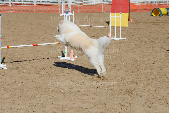 AGILITY-2225