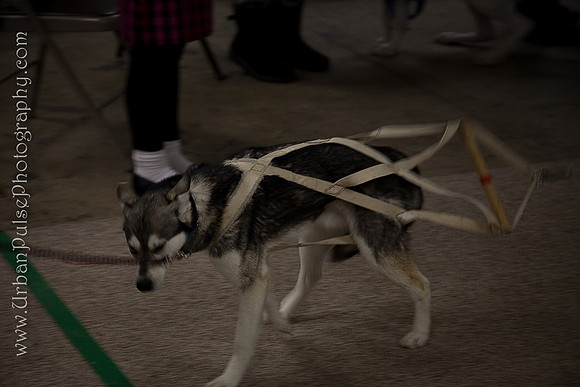untitled-0270