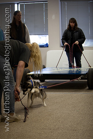 untitled-0275