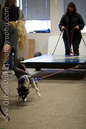 untitled-0277