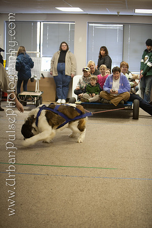 untitled-0329