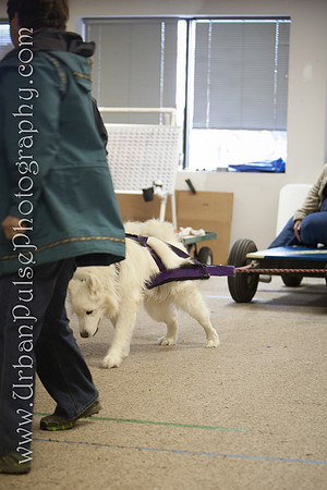 untitled-0360