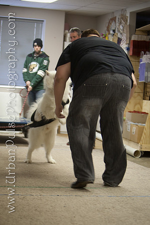 untitled-0365