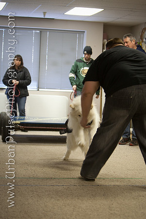untitled-0370