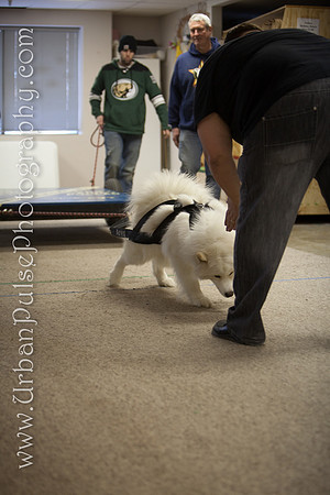 untitled-0374
