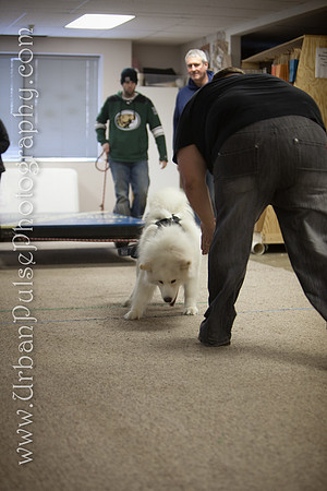 untitled-0372