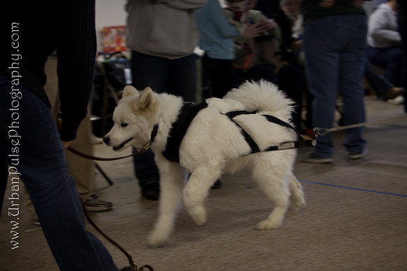 untitled-0394