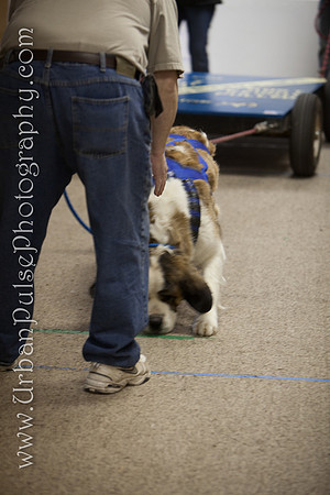 untitled-0396