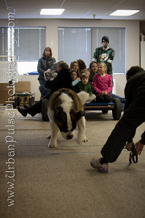 untitled-0406