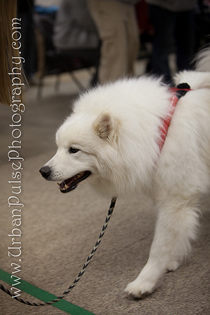 untitled-0441