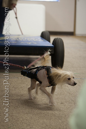 untitled-0444