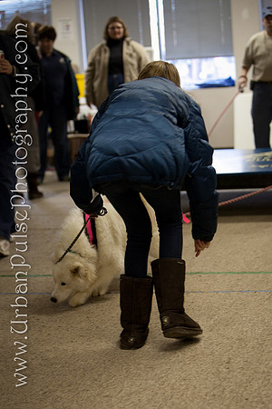 untitled-0493