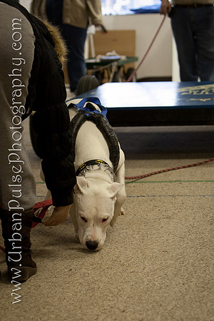 untitled-0505