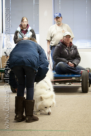 untitled-0528