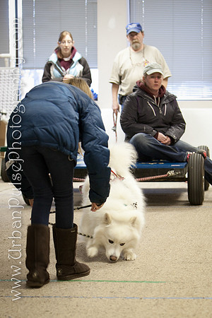untitled-0531