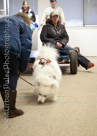 untitled-0535