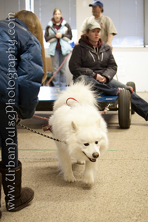untitled-0536
