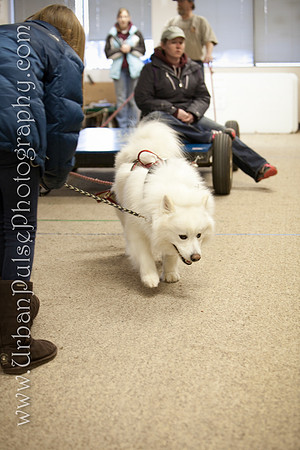 untitled-0537