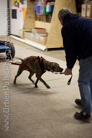 untitled-0541