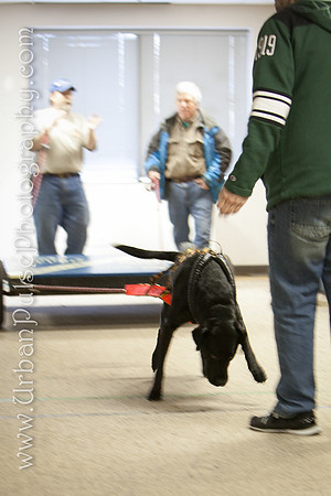 untitled-0553