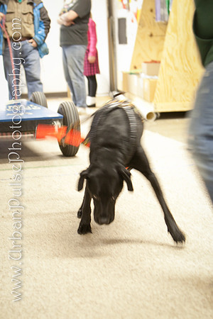 untitled-0556