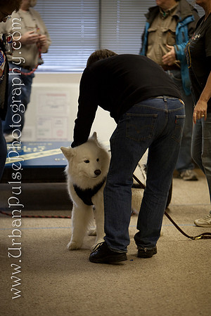 untitled-0563