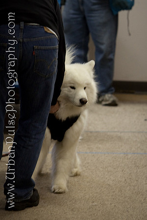untitled-0565