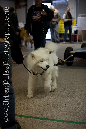 untitled-0575